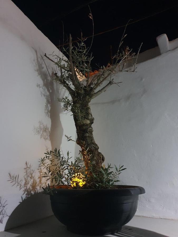 Casa Delaluz Altea Exterior foto